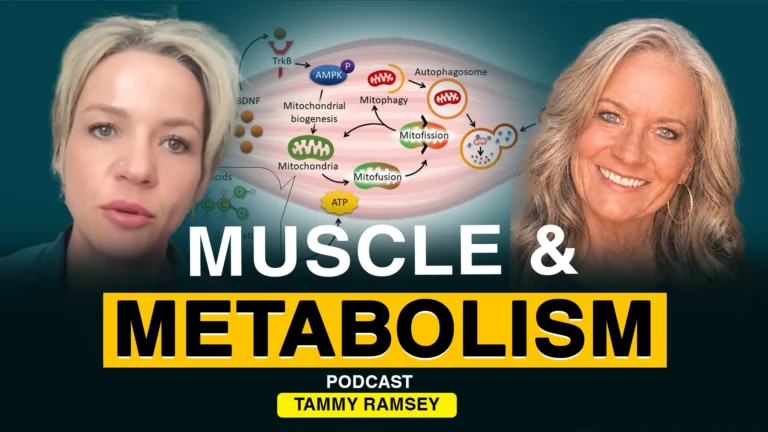 Muscle and Metabolism